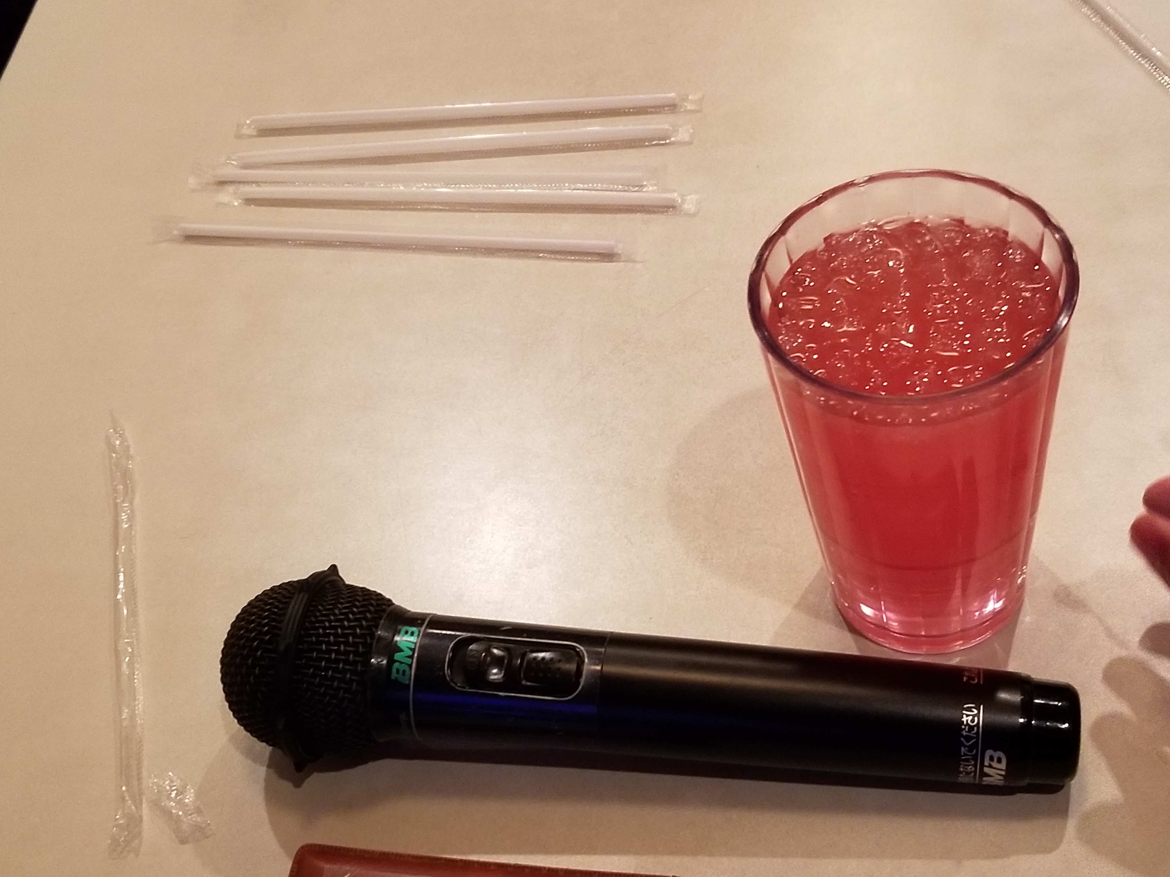 余暇プログラム内でカラオケに行った際の様子