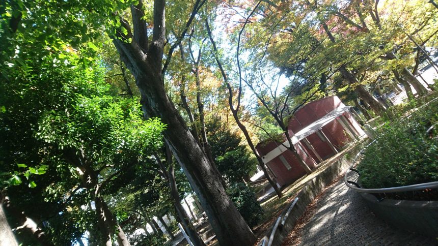 ウォーキングプログラムで行った公園