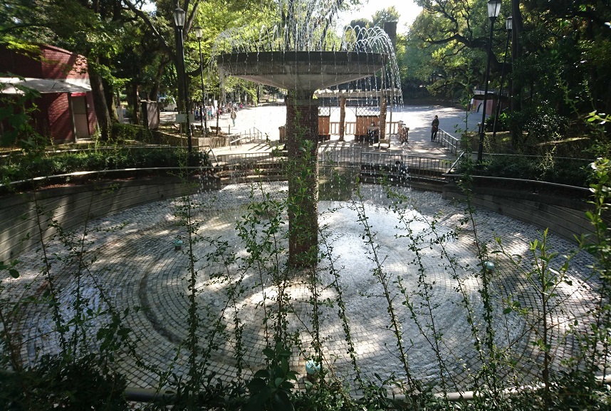 大塚センターウォーキングプログラム