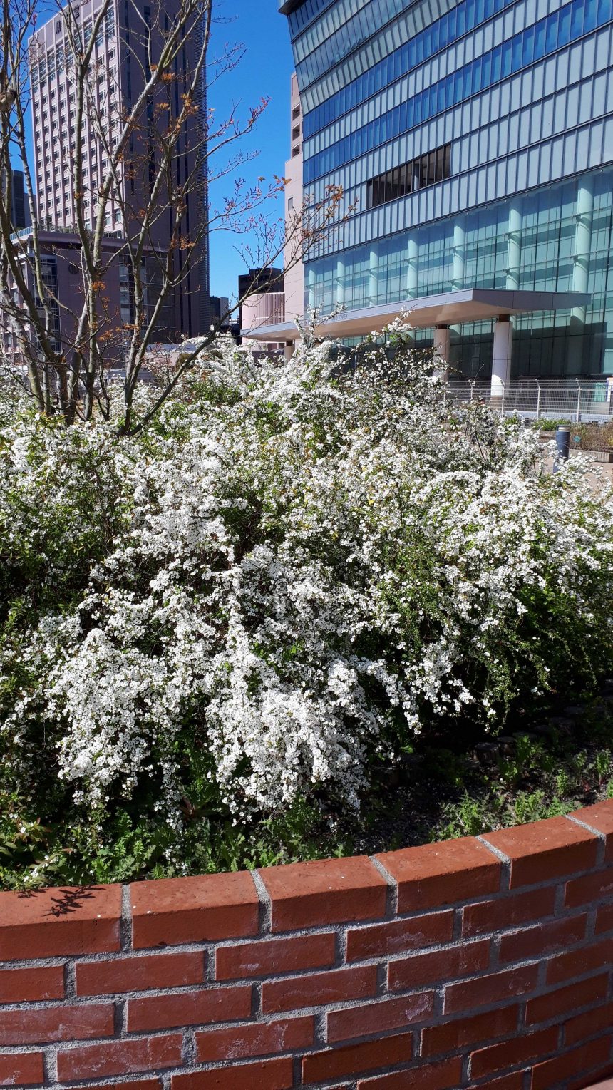 利用者さんと一緒に企業見学