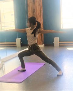 ヨガのプログラム