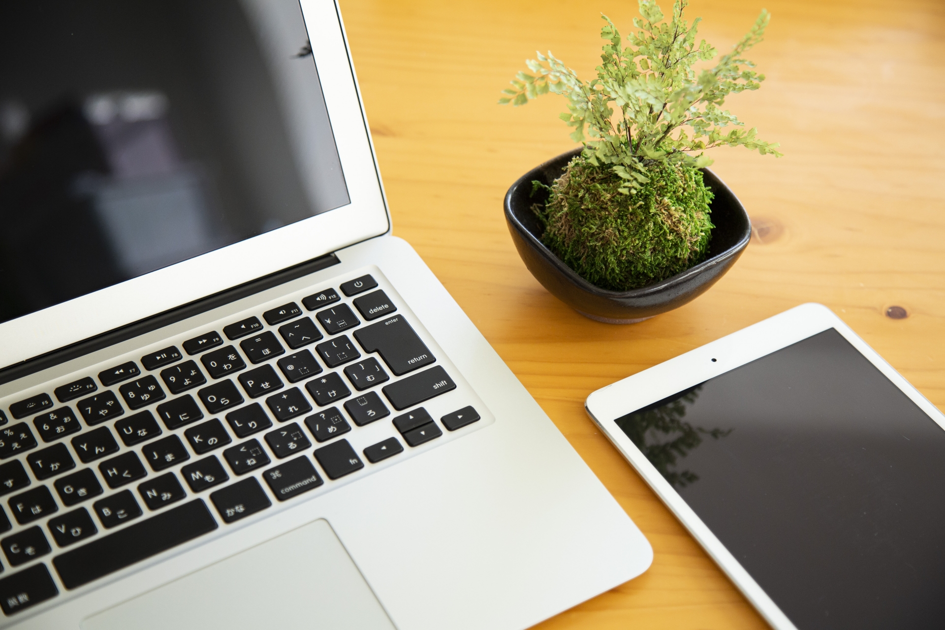 脳の過活動を抑制するマインドフルネス