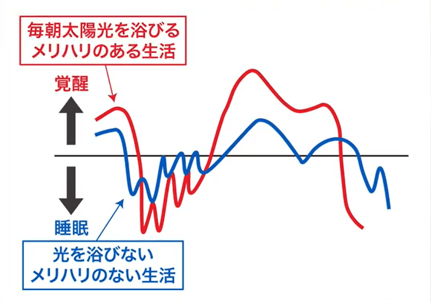太陽の光を浴びることと睡眠