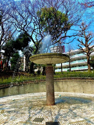 公園で歩く瞑想