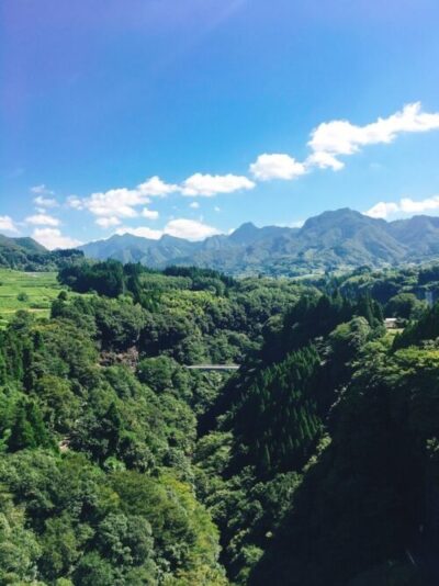 大塚センター　ブログ