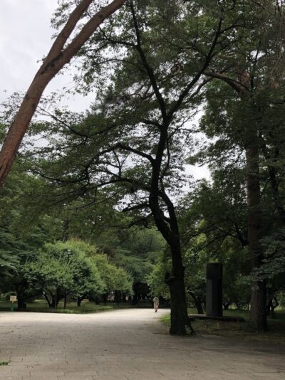 氷川神社・大宮公園