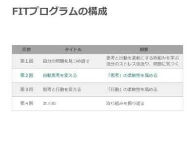FITプログラム