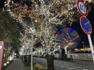 イルミネーション