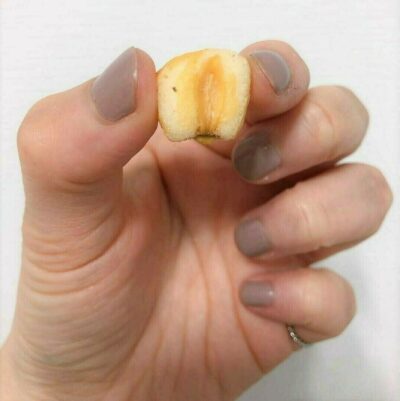 ナッツの手触りや温度