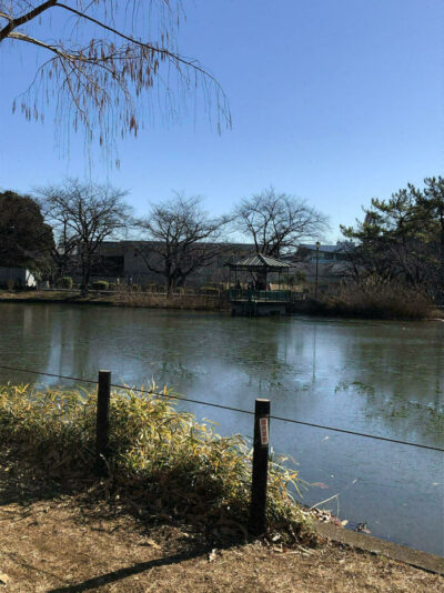 初詣ウォーキング